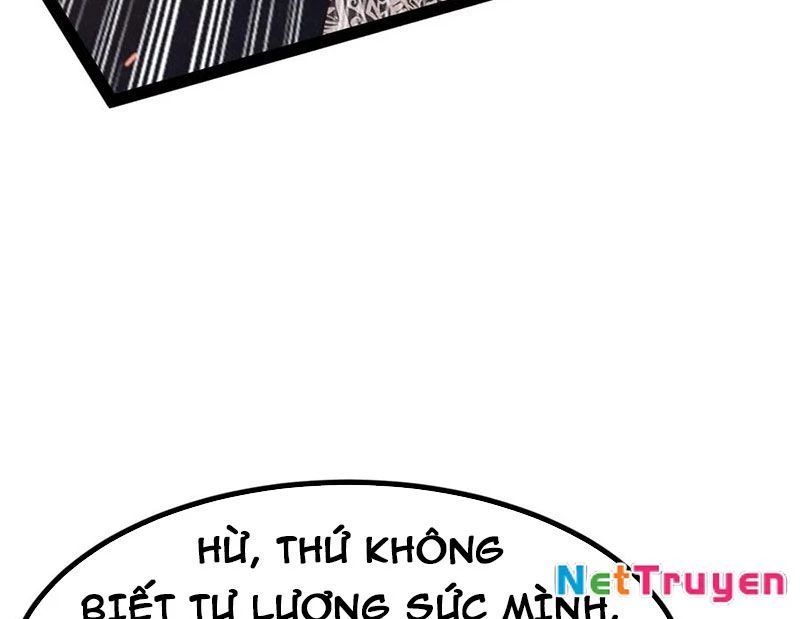 Ta Vô Địch Phản Sáo Lộ