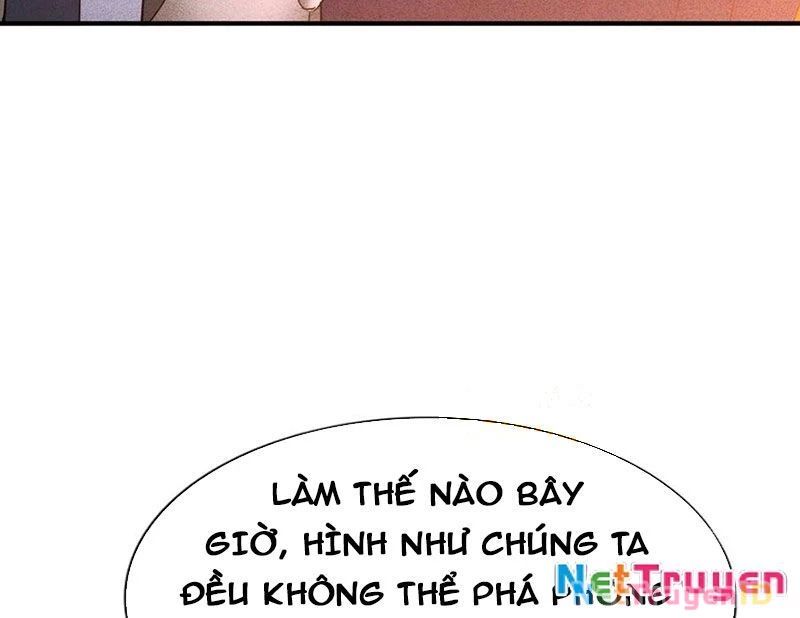 Ta Vô Địch Phản Sáo Lộ