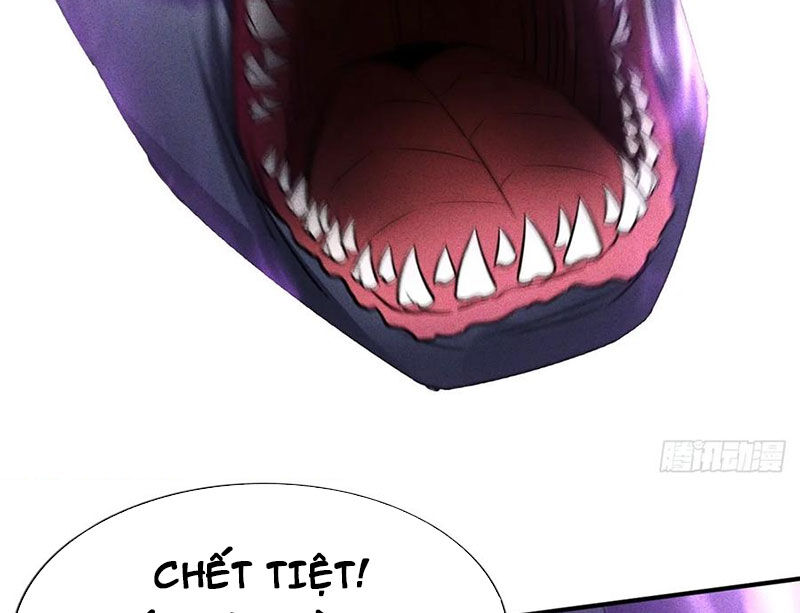 Ta Vô Địch Phản Sáo Lộ