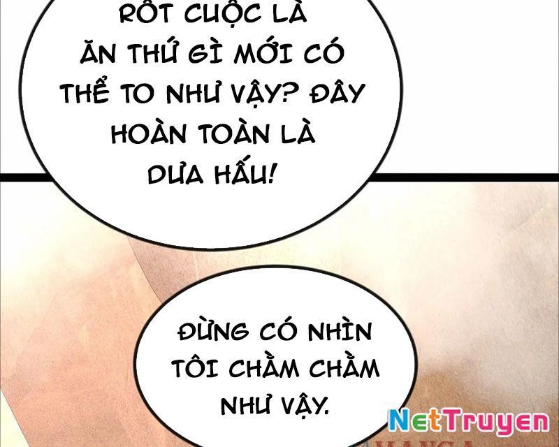 Ta Vô Địch Phản Sáo Lộ