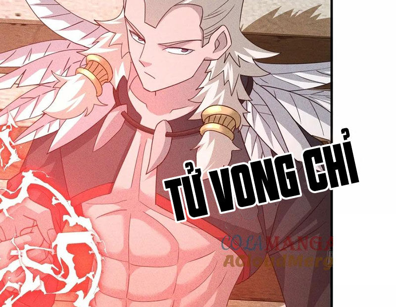 Ta Vô Địch Phản Sáo Lộ