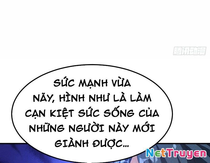 Ta Vô Địch Phản Sáo Lộ