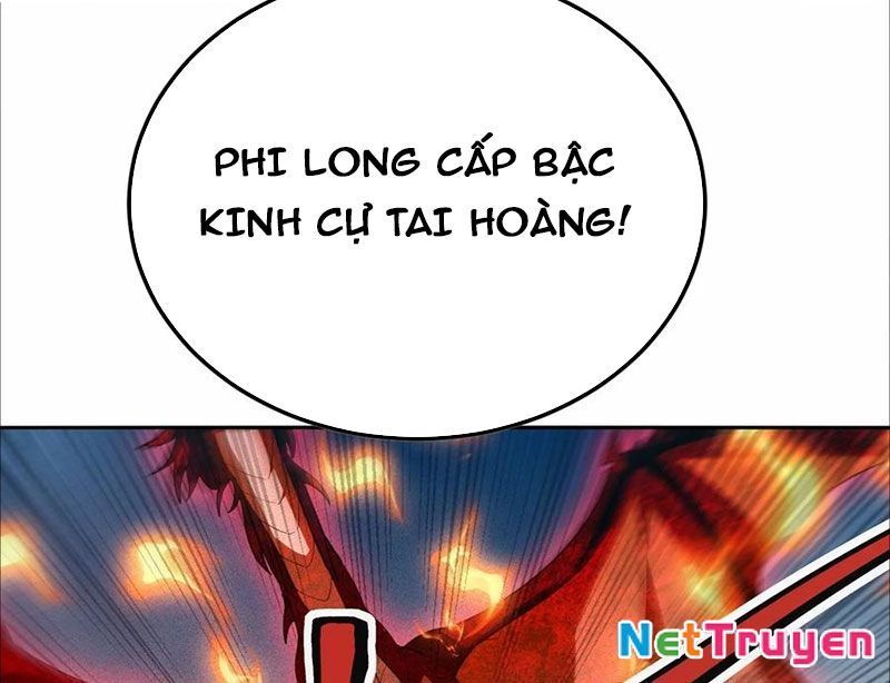 Ta Vô Địch Phản Sáo Lộ