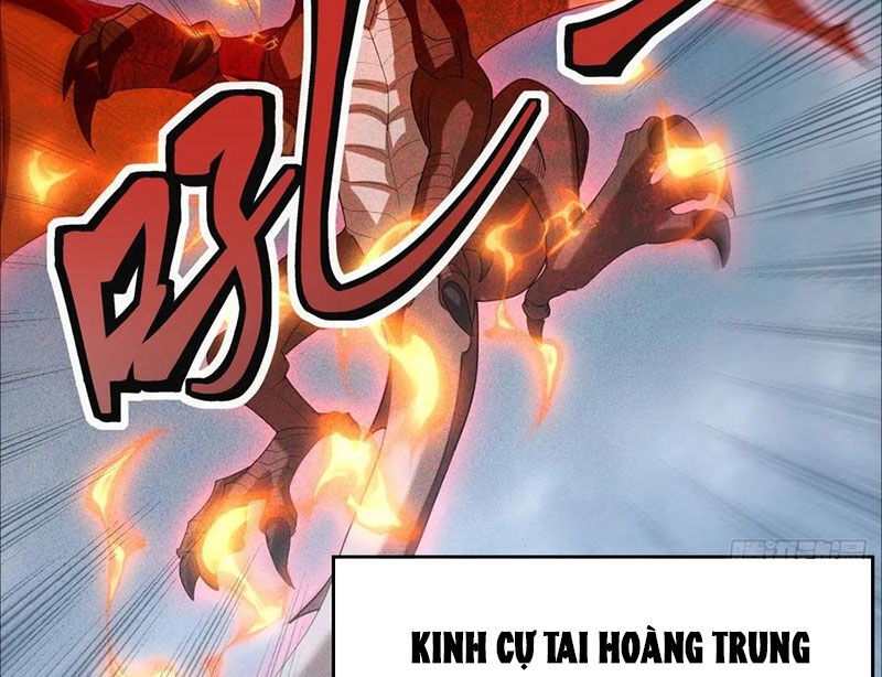 Ta Vô Địch Phản Sáo Lộ