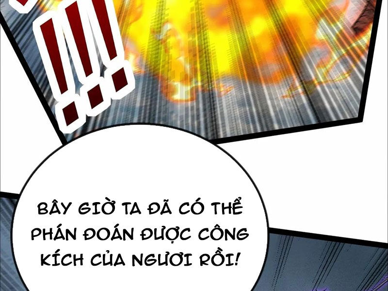 Ta Vô Địch Phản Sáo Lộ
