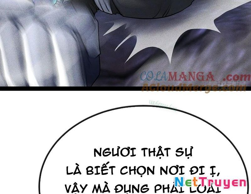 Ta Vô Địch Phản Sáo Lộ