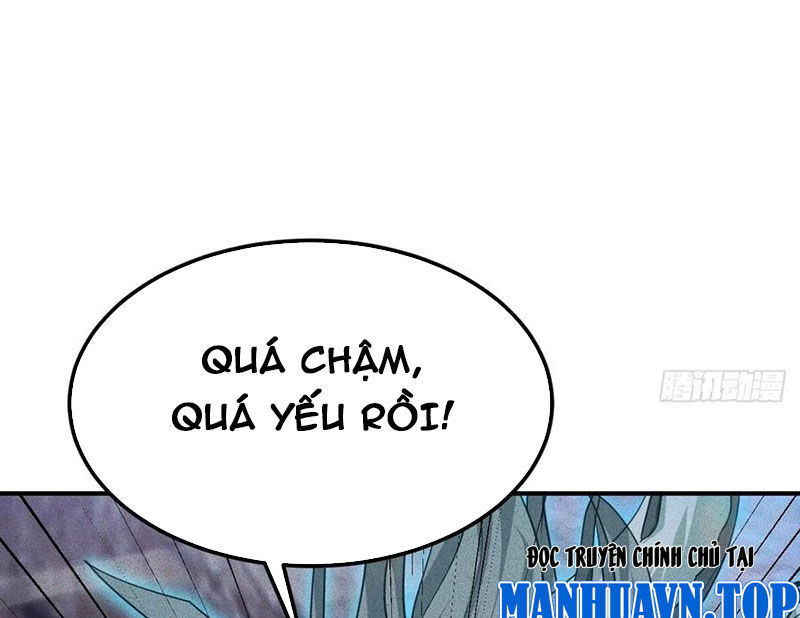 Ta Vô Địch Phản Sáo Lộ