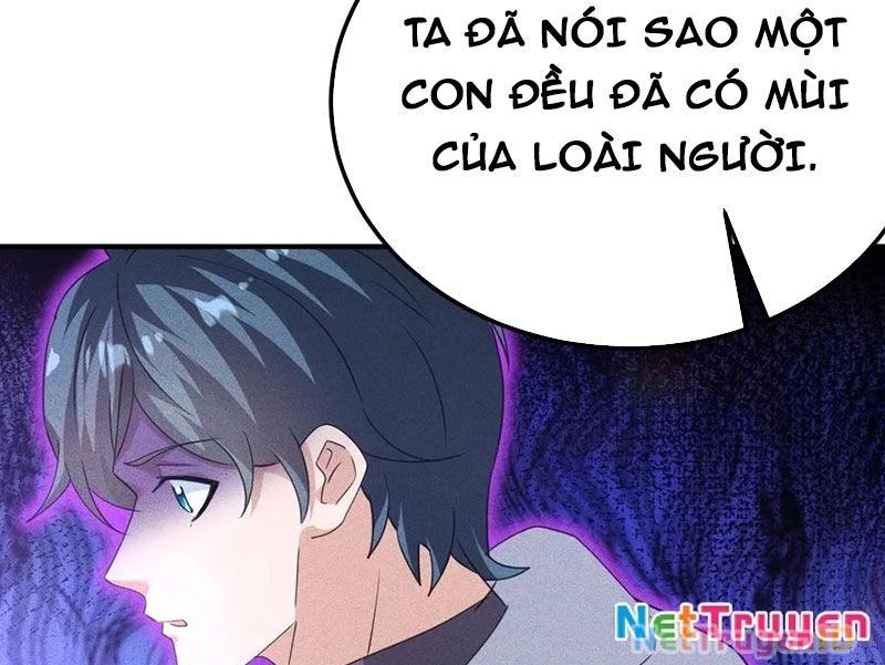 Ta Vô Địch Phản Sáo Lộ