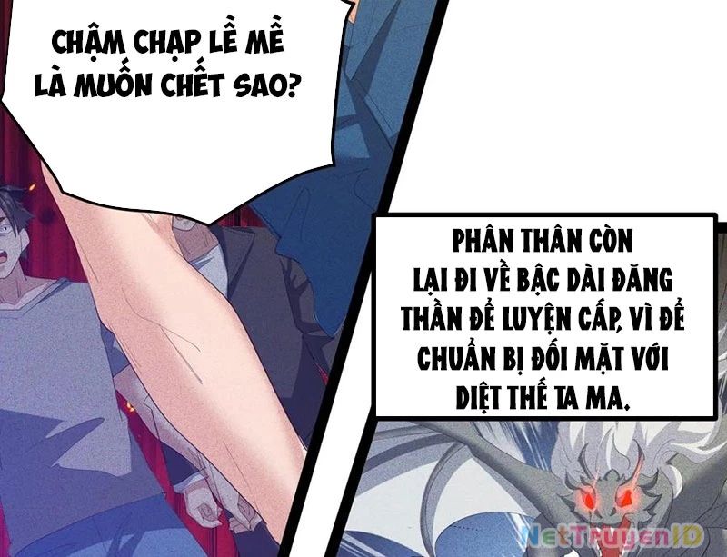 Ta Vô Địch Phản Sáo Lộ