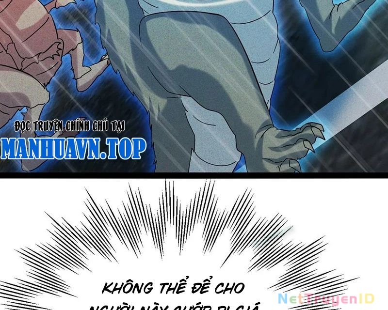 Ta Vô Địch Phản Sáo Lộ