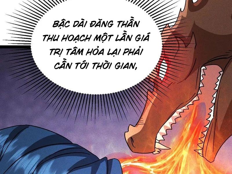 Ta Vô Địch Phản Sáo Lộ