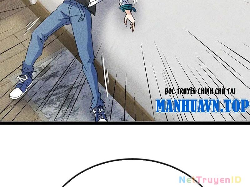 Ta Vô Địch Phản Sáo Lộ