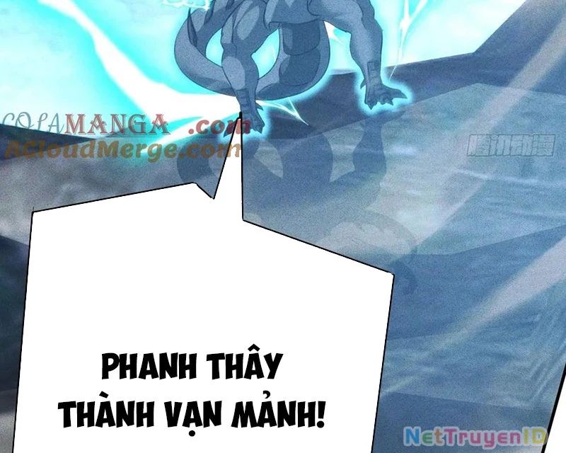 Ta Vô Địch Phản Sáo Lộ