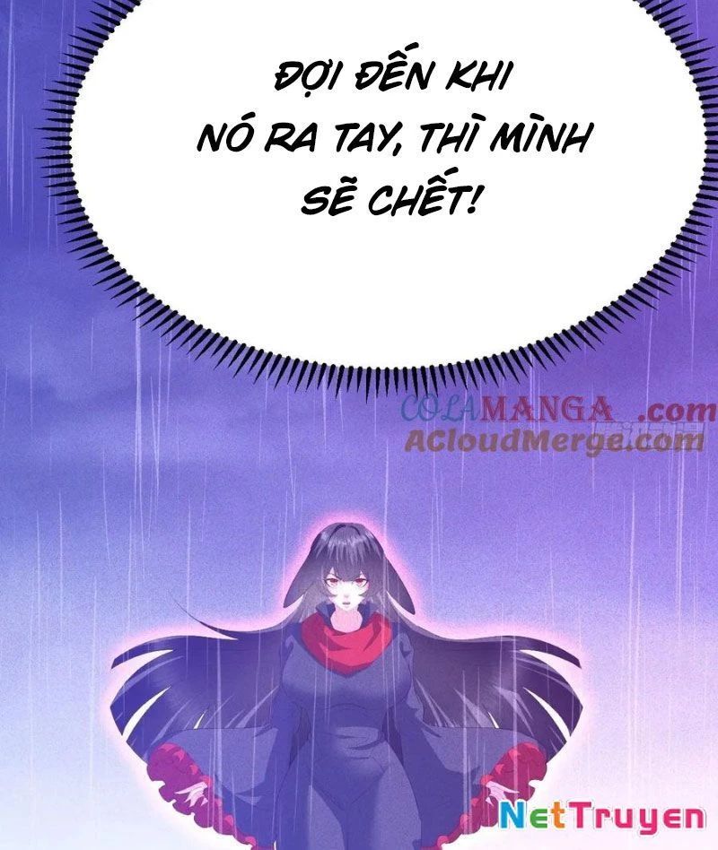 Ta Vô Địch Phản Sáo Lộ