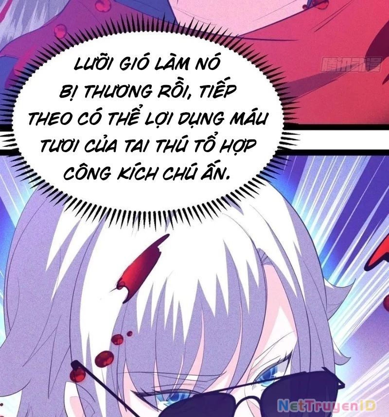 Ta Vô Địch Phản Sáo Lộ