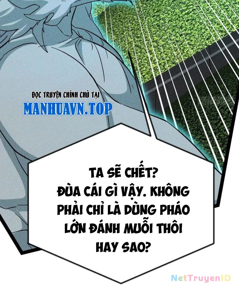 Ta Vô Địch Phản Sáo Lộ