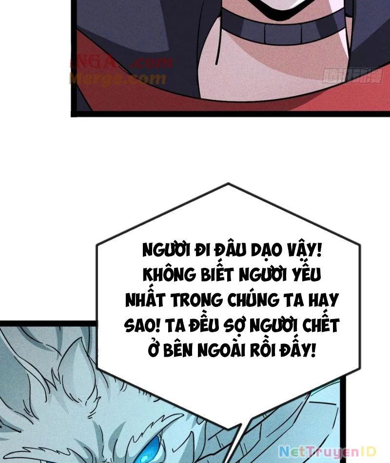 Ta Vô Địch Phản Sáo Lộ
