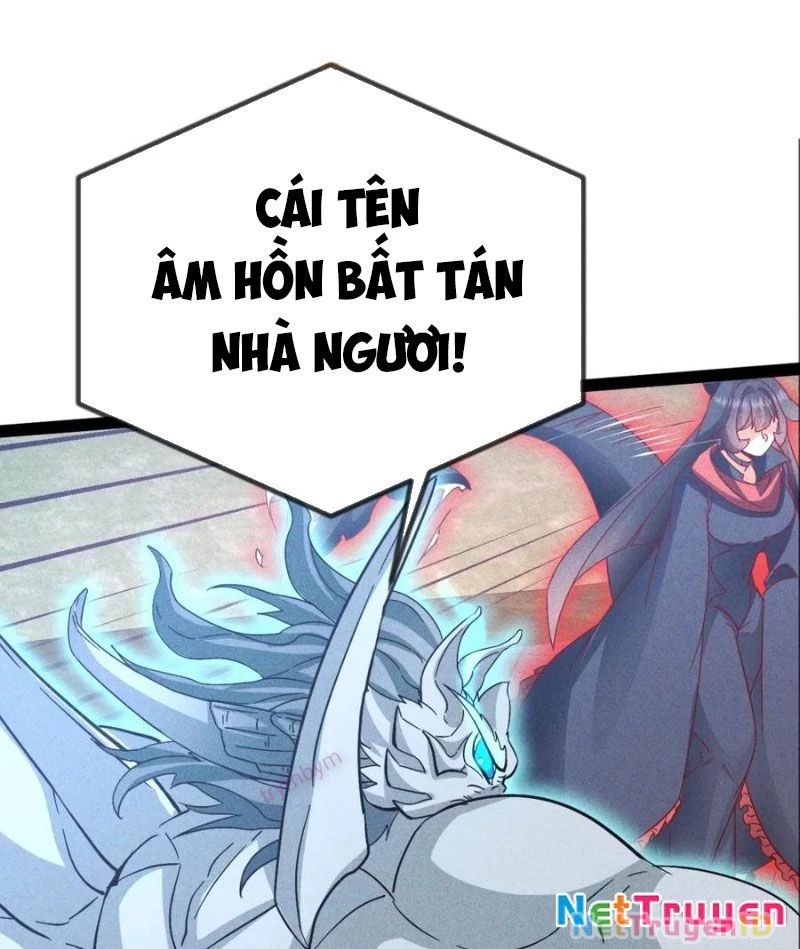 Ta Vô Địch Phản Sáo Lộ