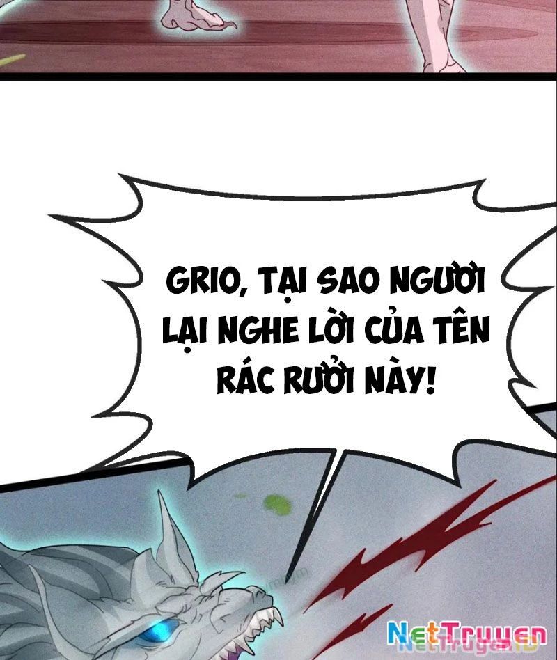 Ta Vô Địch Phản Sáo Lộ
