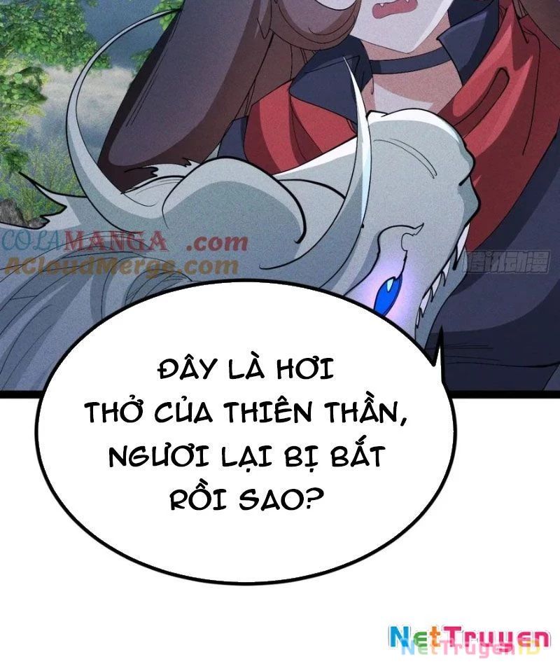 Ta Vô Địch Phản Sáo Lộ