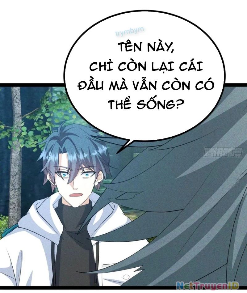 Ta Vô Địch Phản Sáo Lộ