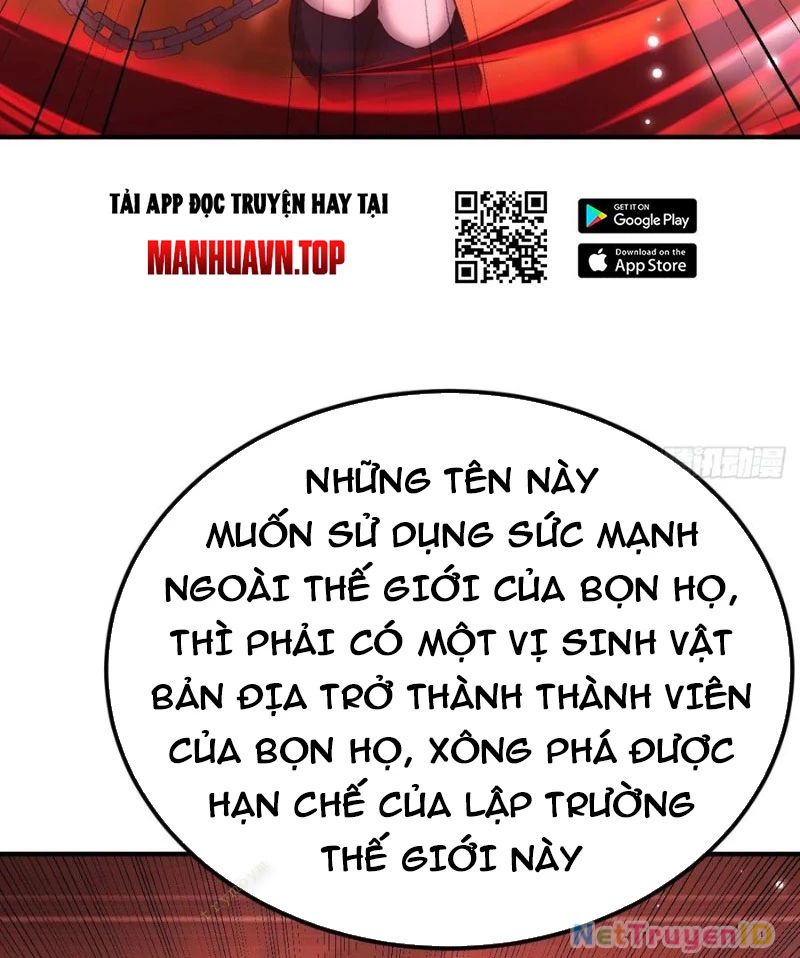 Ta Vô Địch Phản Sáo Lộ