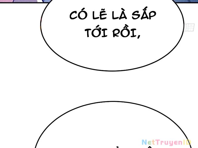 Ta Vô Địch Phản Sáo Lộ