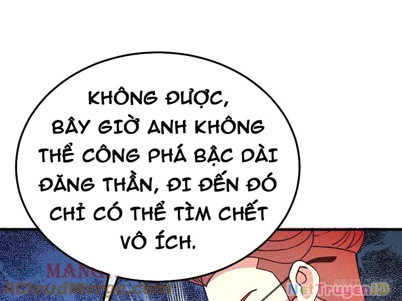 Ta Vô Địch Phản Sáo Lộ