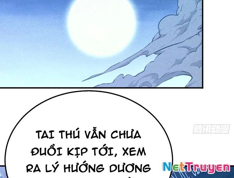 Ta Vô Địch Phản Sáo Lộ