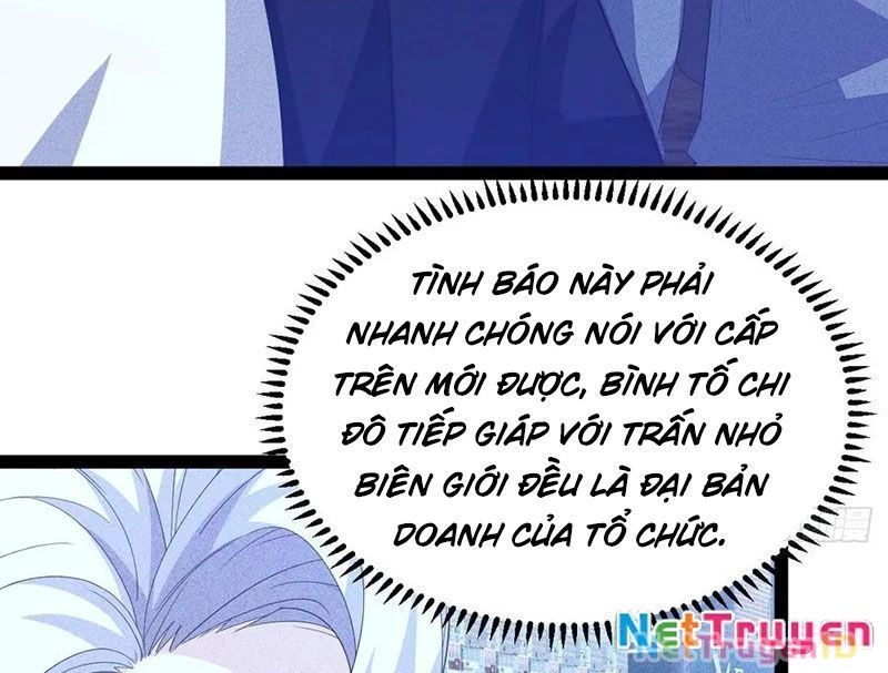 Ta Vô Địch Phản Sáo Lộ