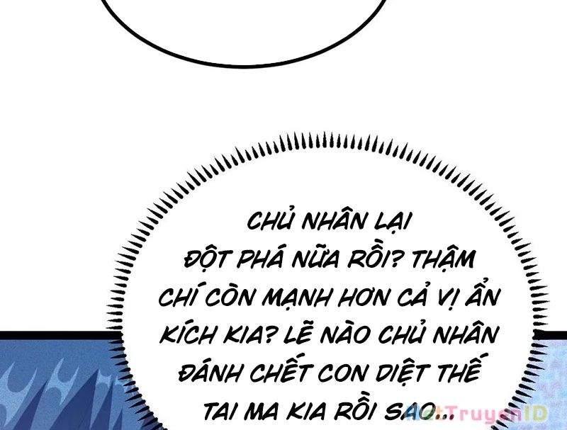 Ta Vô Địch Phản Sáo Lộ