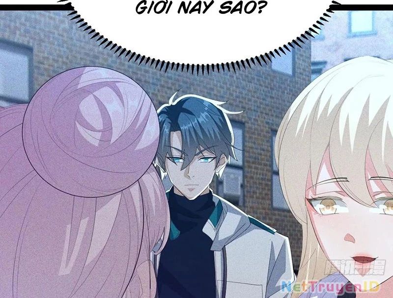 Ta Vô Địch Phản Sáo Lộ
