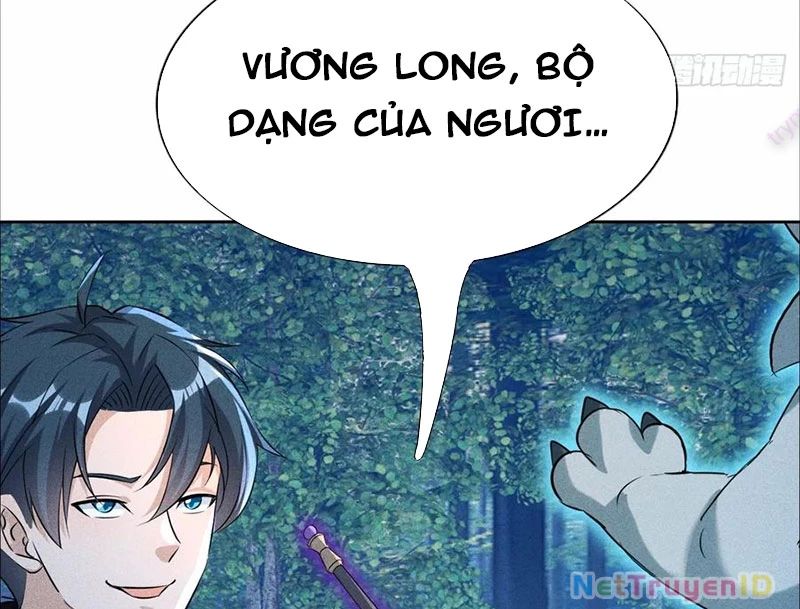Ta Vô Địch Phản Sáo Lộ