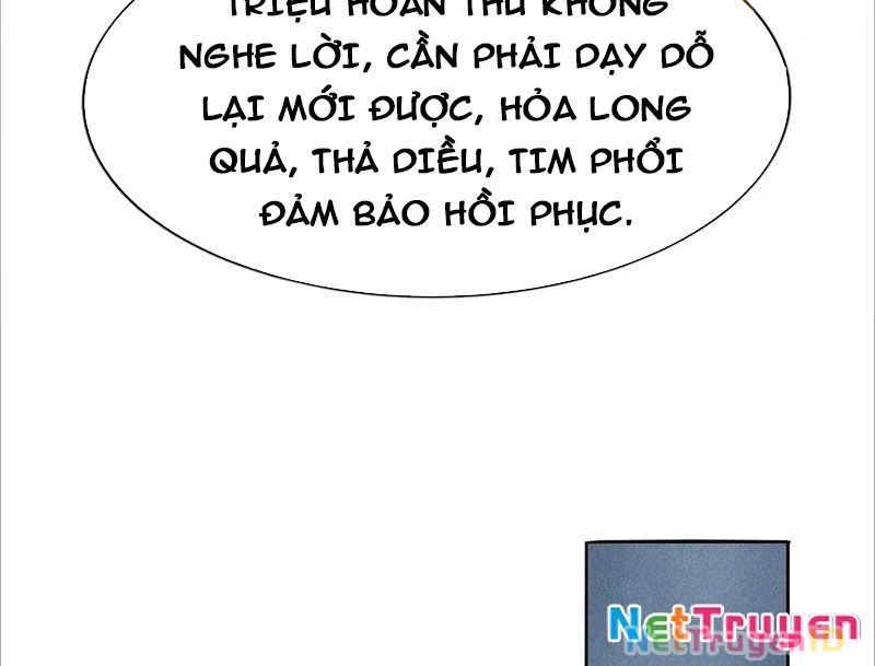 Ta Vô Địch Phản Sáo Lộ