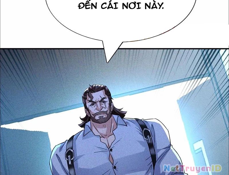 Ta Vô Địch Phản Sáo Lộ