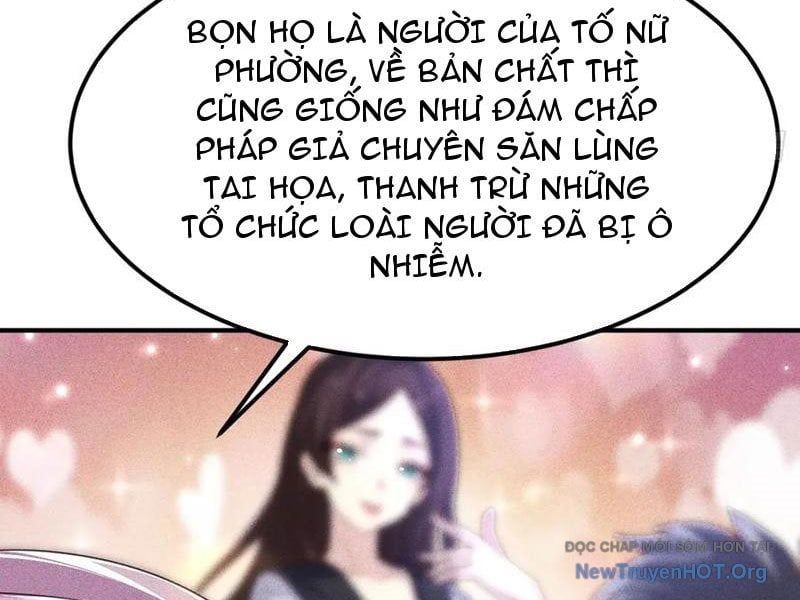 Ta Vô Địch Phản Sáo Lộ