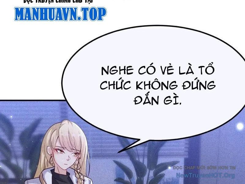 Ta Vô Địch Phản Sáo Lộ