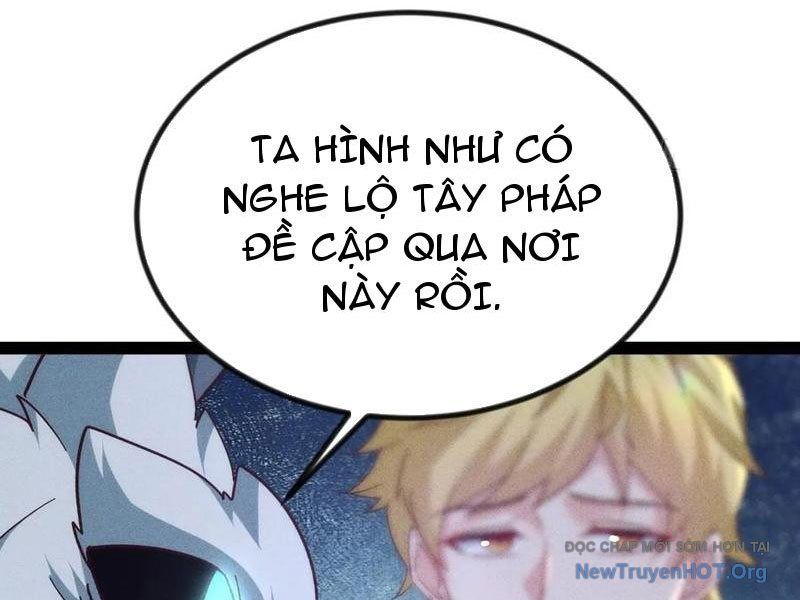 Ta Vô Địch Phản Sáo Lộ
