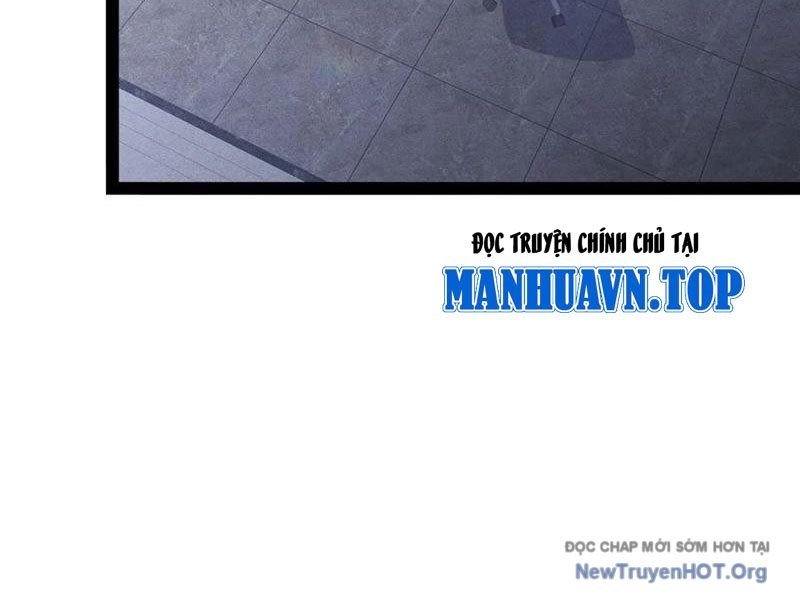 Ta Vô Địch Phản Sáo Lộ