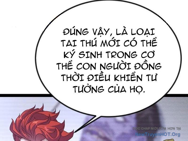 Ta Vô Địch Phản Sáo Lộ