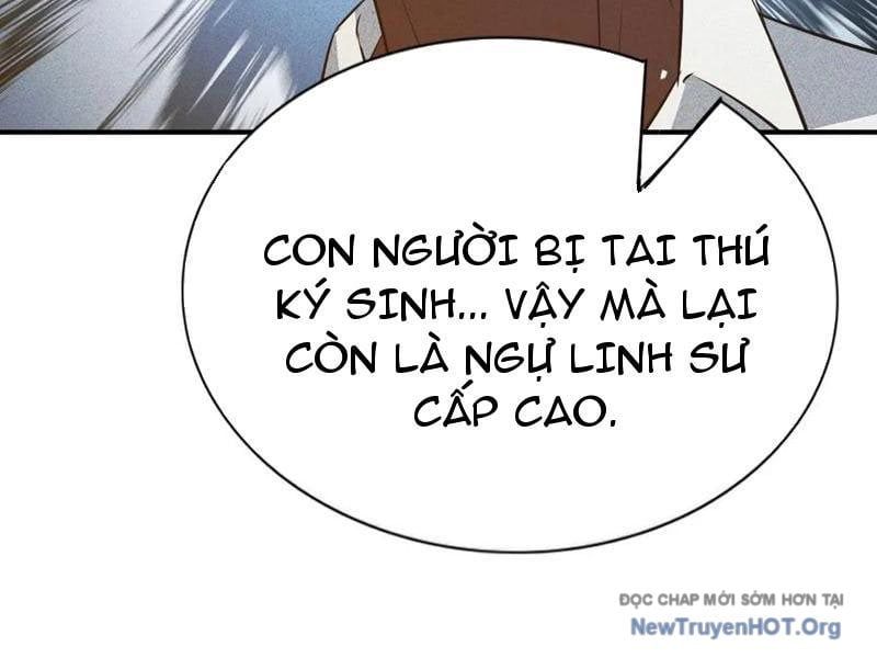 Ta Vô Địch Phản Sáo Lộ
