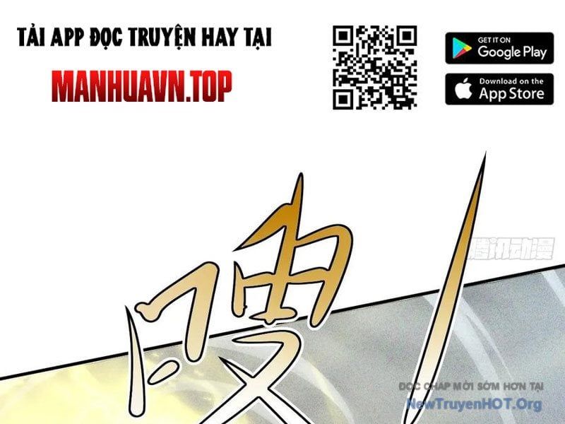 Ta Vô Địch Phản Sáo Lộ