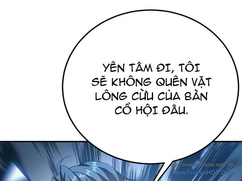 Ta Vô Địch Phản Sáo Lộ