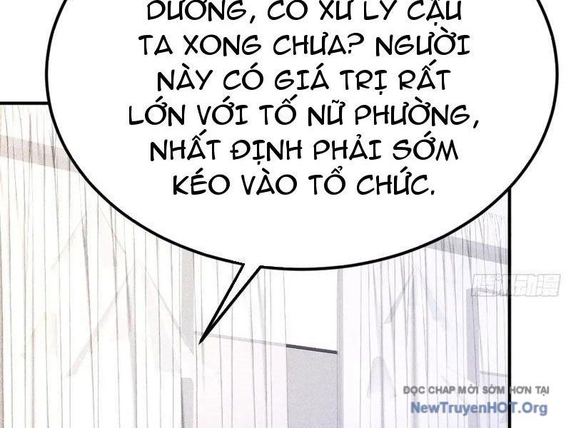 Ta Vô Địch Phản Sáo Lộ