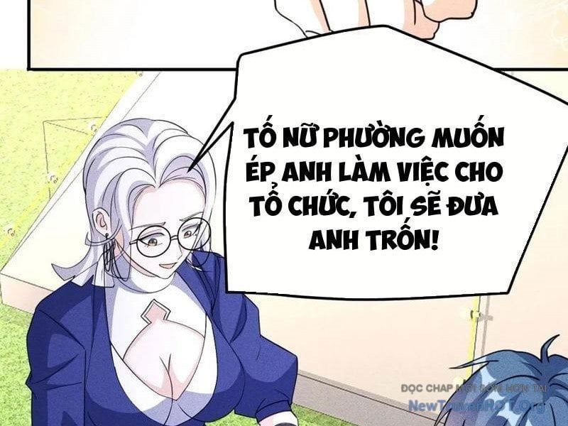 Ta Vô Địch Phản Sáo Lộ