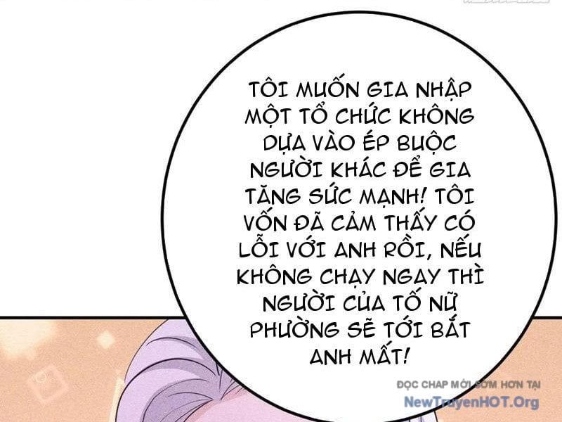 Ta Vô Địch Phản Sáo Lộ