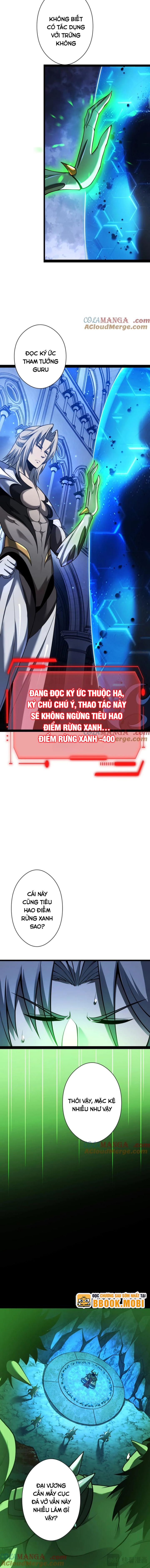 Ta, Chúa Tể Rừng Xanh