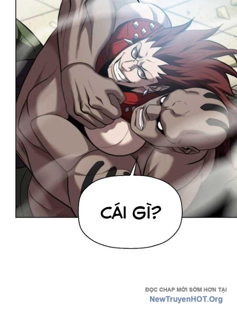 Đấu Trường Chiến Đấu