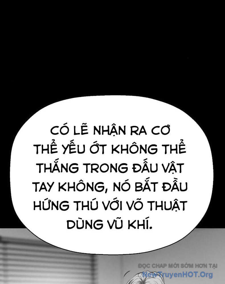 Đấu Trường Chiến Đấu