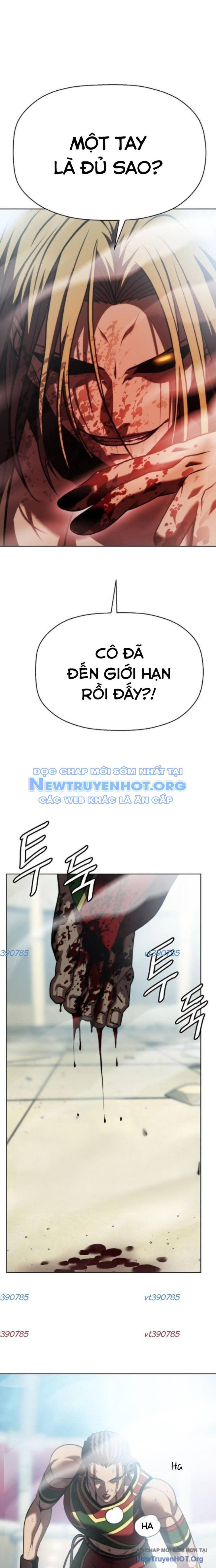Đấu Trường Chiến Đấu